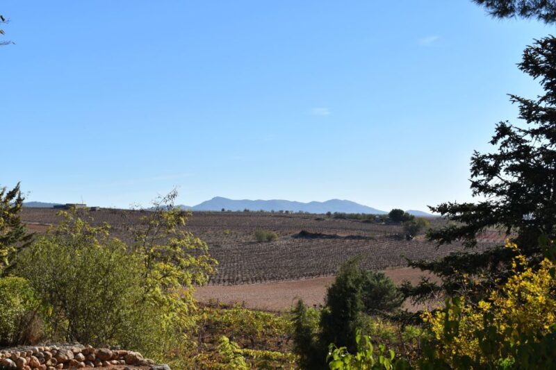 Valencia: Utiel-Requena Cave & Winery Day Trip with Tasting - FAQs