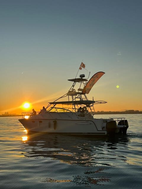 Valencia: VIP Sunset Cruise in Catamaran with drink - The Experience: What to Expect on the Valencia Sunset Catamaran Tour
