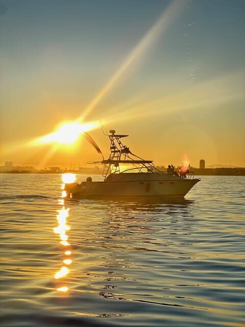 Valencia: VIP Sunset Cruise in Catamaran with drink - Who Will Love This Tour?