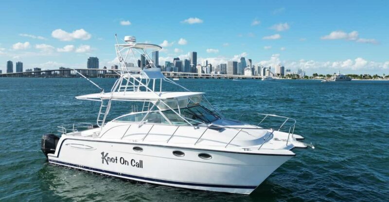 Valencia: VIP Sunset Cruise in Catamaran with drink - The Sum Up