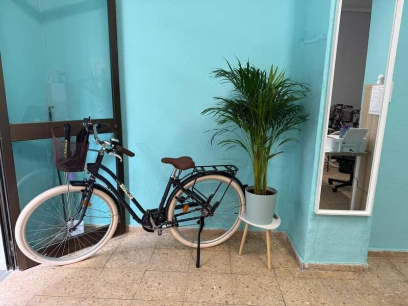 Valencia Volt Bike Rental: 4-Hours Electric Bike Rental - Key Points
