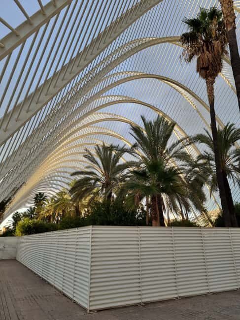 Valencia: Walking tour of the City of Arts and Sciences in Italian - What to Expect and Practicalities