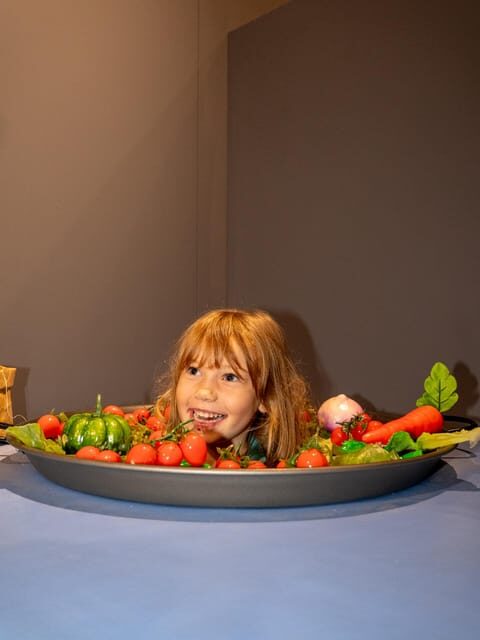 Valencia: World of Illusions Museum Entrance Ticket - Key Points