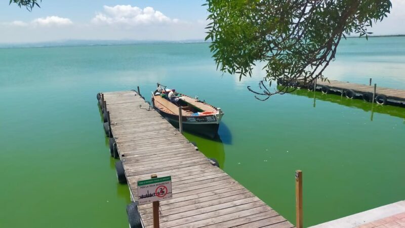 Valencia's Albufera, cycling guided tour - The Sum Up: Who Will Love This Tour?