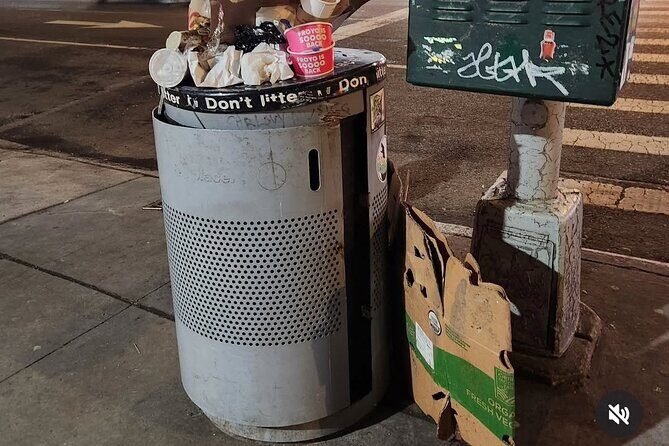 Valentine's Day Garbage and Rats in NYC Walking Tour - Who Will Enjoy This Tour?