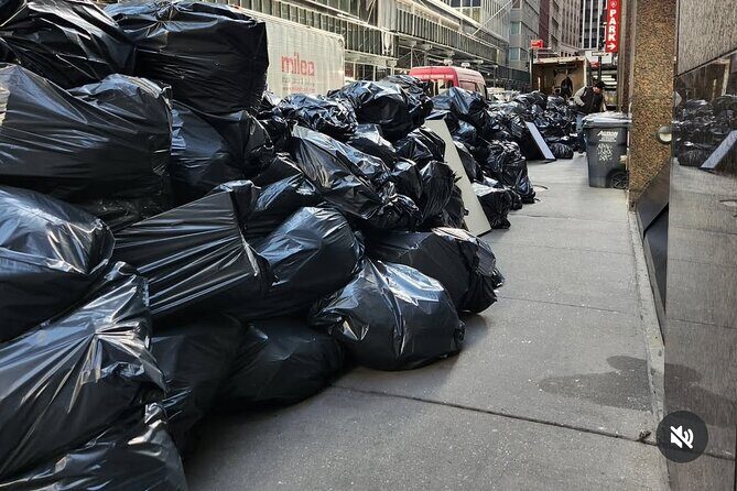 Valentine's Day Garbage and Rats in NYC Walking Tour - Final Thoughts