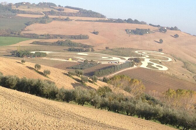 Valentino Rossi round trip to Tavullia from Rome Private day Tour - Practical Details: Transportation, Timing, and Comfort