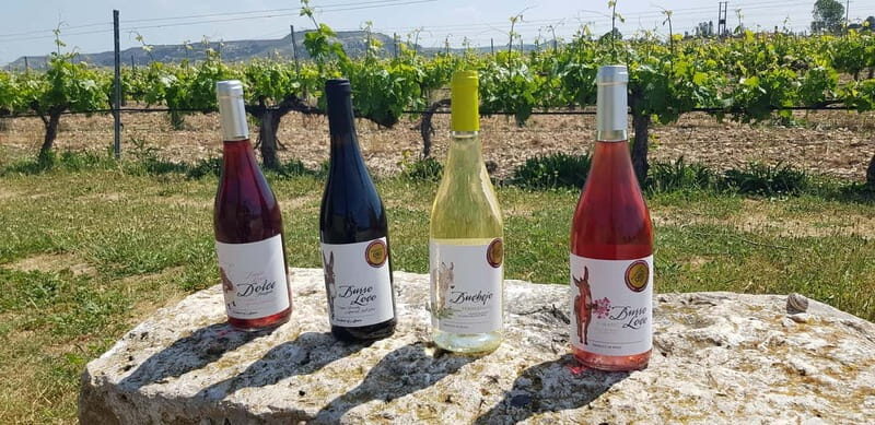 Valladolid: Concejo Bodegas - Key Points