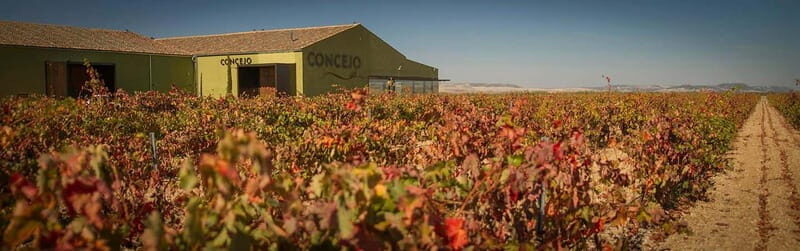 Valladolid: Concejo Bodegas - Who Will Love This Tour?