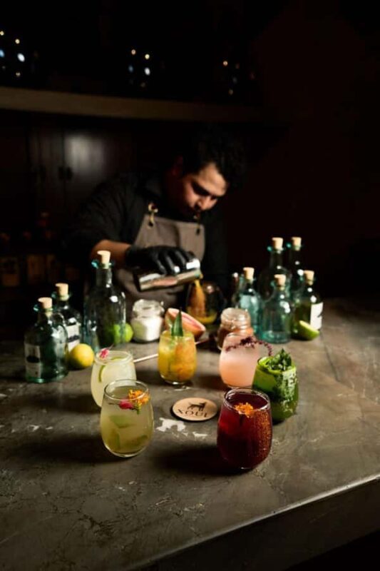 Valladolid: Exclusive 5 Mezcal Tasting Experience - What the Experience Offers