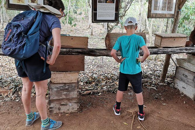Valladolid Mayan Bees Tour with Lunch or breakfast and Honey Tasting - A Closer Look at the Tour Experience