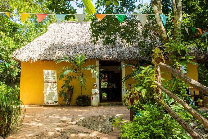 Valladolid Mayan Bees Tour with Lunch or breakfast and Honey Tasting - Final Thoughts