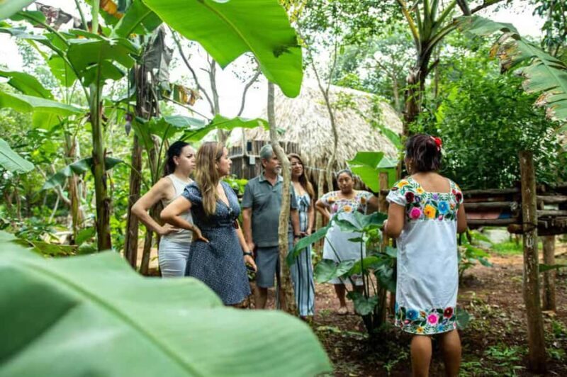 Valladolid: Mayan Cooking Class with 5 Dishes - What You Can Expect from This Mayan Cooking Class