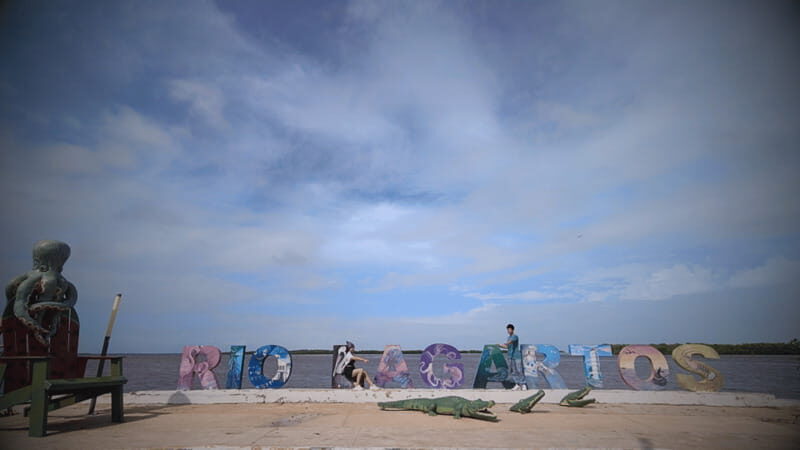 VALLADOLID: RIO LAGARTOS + LAS COLORADAS + CENOTE (SHARED TRIP) - The Sum Up