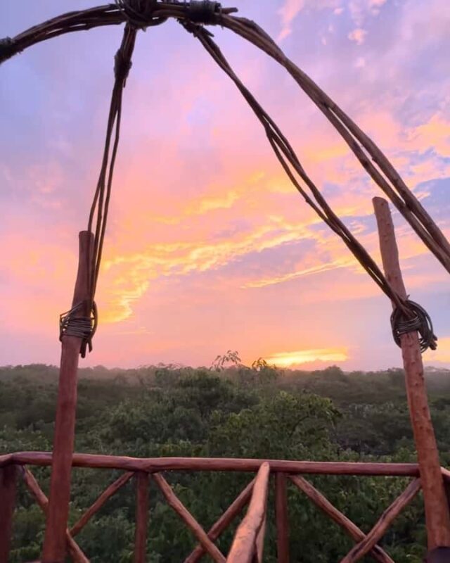 Valladolid: Sunset jungle viewpoint and cenote swim - An In-Depth Look at the Experience