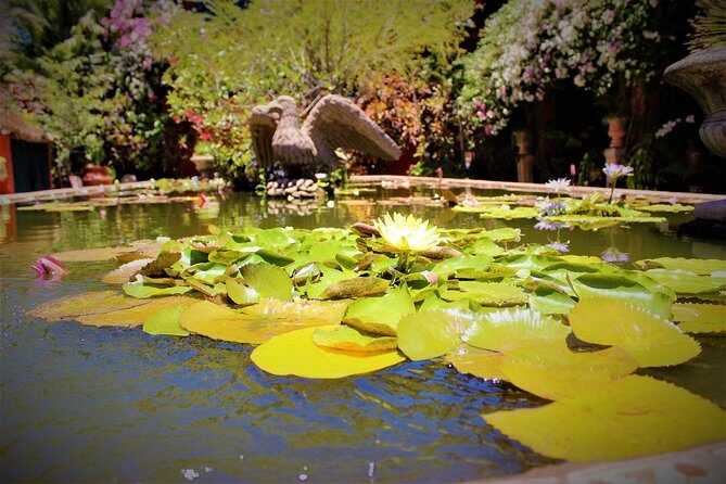 Vallarta Botanical Garden and Tequila Tasting from Puerto Vallarta - Frequently Asked Questions