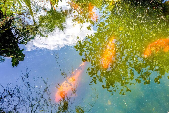 Vallarta Botanical Garden: Private Day Trip of Flora & Fauna - Who Will Appreciate This Tour?