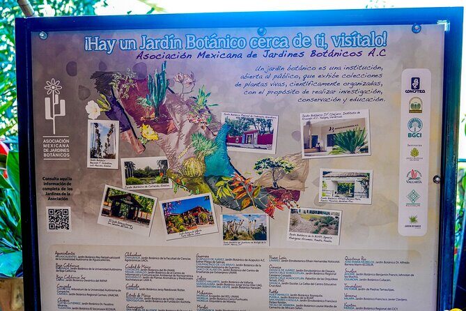 Vallarta Botanical Garden: Private Day Trip of Flora & Fauna - The Sum Up: The Perfect Mix of Nature, Culture, and Personal Attention