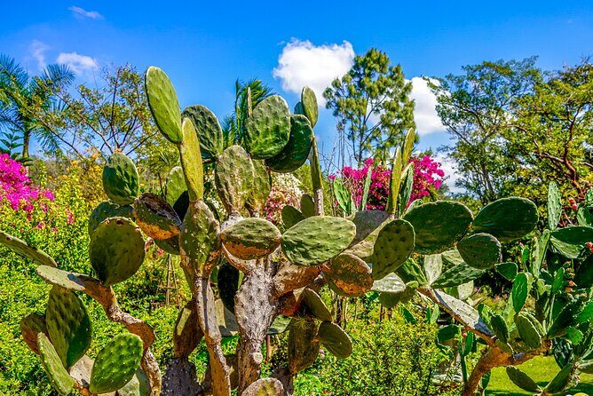 Vallarta Botanical Garden: Private Day Trip of Flora & Fauna - FAQ