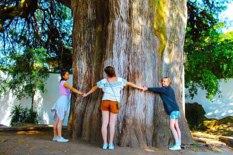 Valle de Bravo: Half-Day Guided City Tour by Van - An In-Depth Look at the Valle de Bravo Tour