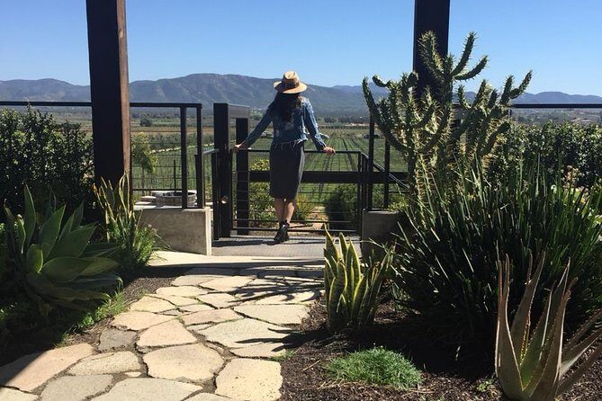 Valle de Guadalupe COUPLES wine tasting for 2 - An In-Depth Look at the Tour