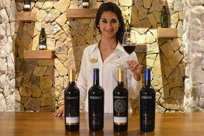 Valle de Guadalupe Premium Wine & Vineyard Wagon Tour - The Practical Side