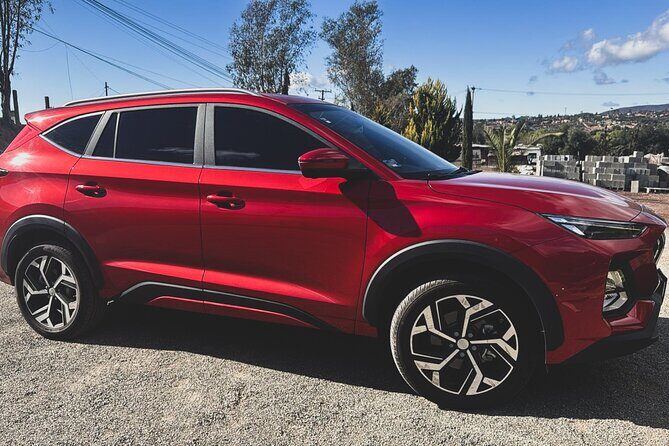 Valle de Guadalupe Private Transportation - A Deep Dive into Valle de Guadalupe Private Transportation