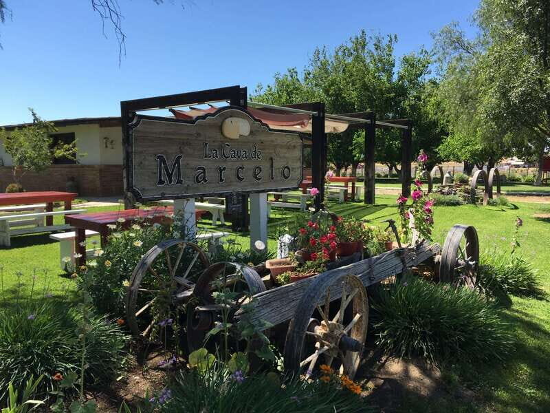 Valle de Guadalupe: Wine & Cheese Tour - The Sum Up