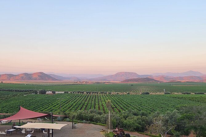 Valle de Guadalupe Wine Experience: Wine Tastings Included - Exploring the Valle de Guadalupe Wine Experience: A Guided Tour with Tastings