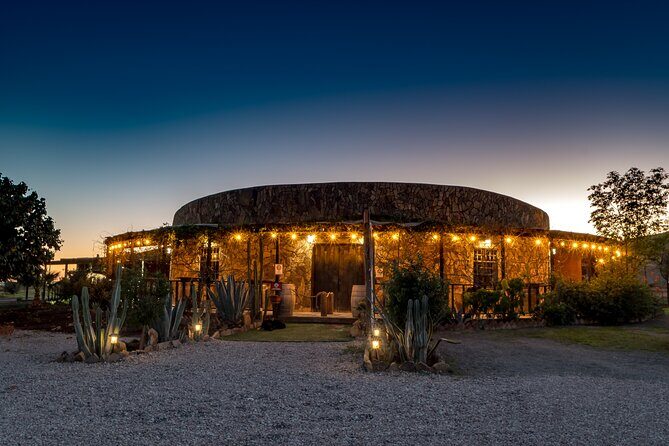 Valle de Guadalupe Wine Experience: Wine Tastings Included - Key Points
