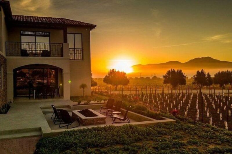 Valle de Guadalupe: Wine Tasting and Wagon Tour - Final Words: Is It Worth It?