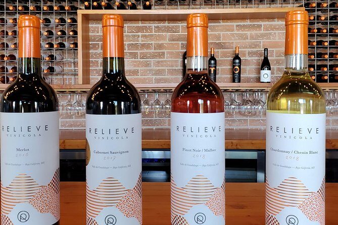 Valle de Guadalupe Wine Tour - Final Thoughts