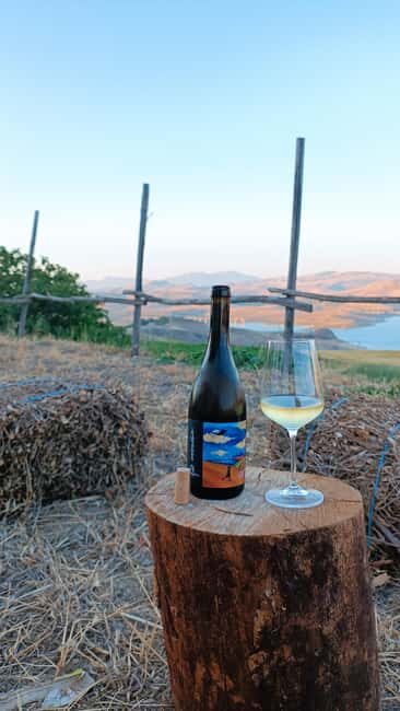 Valle del Belice: Informal and authentic tasting of artisan wines - A Detailed Look at the Experience