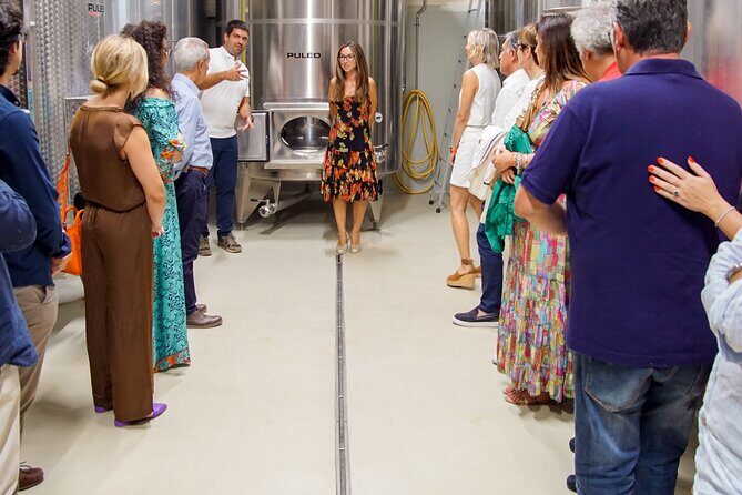 Valle delle Ferle with Wine Tasting and Lunch in Caltagirone - Key Points