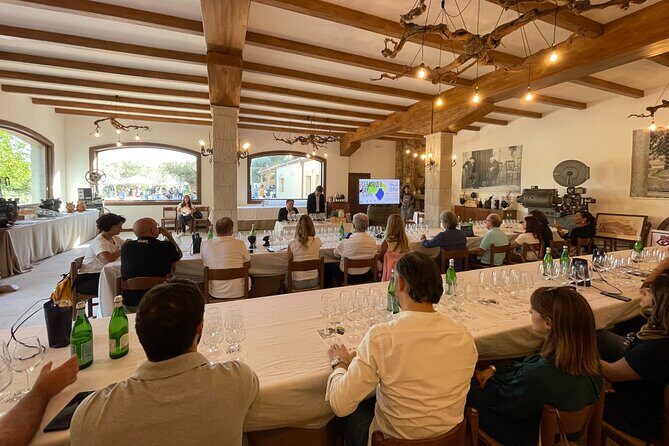 Valle delle Ferle with Wine Tasting and Lunch in Caltagirone - An In-Depth Look at the Valle delle Ferle Experience