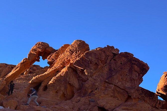 Valley of Fire Half Day Tour - Practical Details and Value