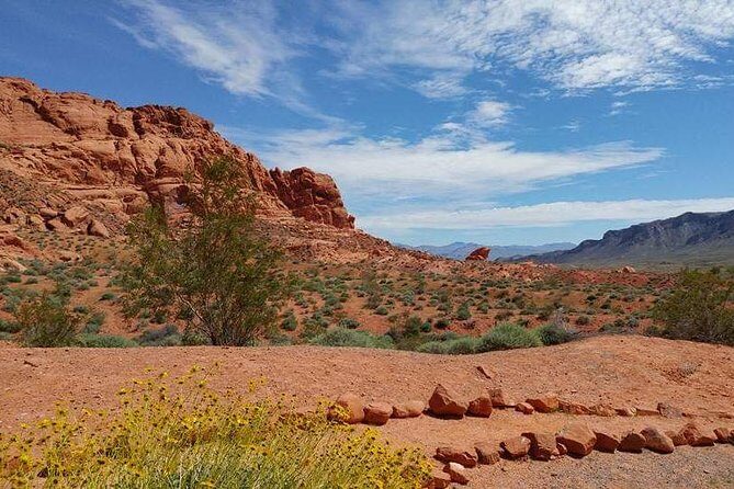 Valley of Fire Hike from Las Vegas - What the Reviews Reveal