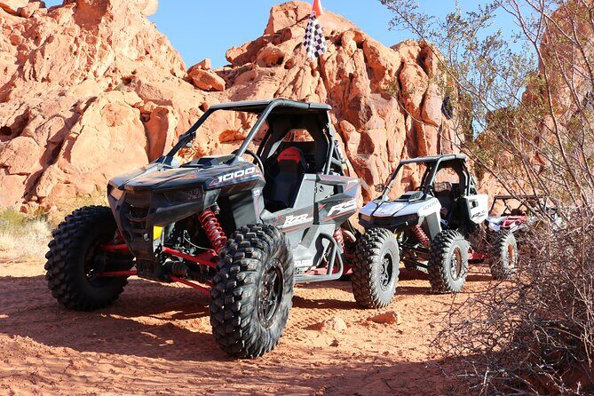 Valley of Fire Single Seater UTV Tour - Who Will Love This Tour?