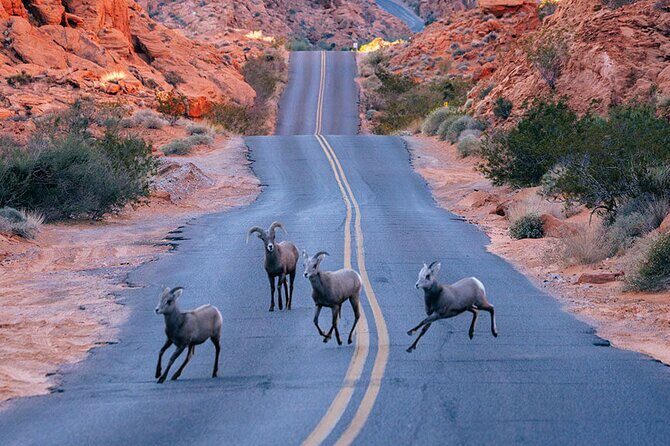 Valley of Fire State Park on a Slingshot - Frequently Asked Questions