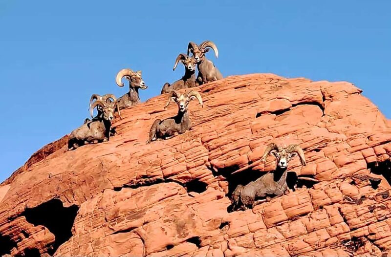 Valley of Fire - The Value: Price, Logistics, and Experience