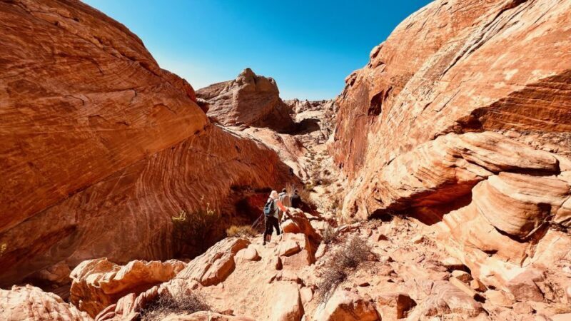 Valley of Fire VIP Small Group Tour From Las Vegas - Key Points