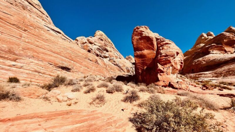 Valley of Fire VIP Small Group Tour From Las Vegas - The Sum Up