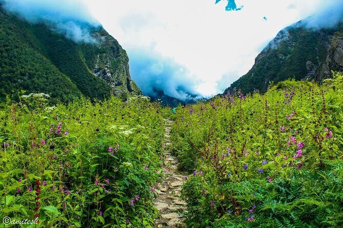 Valley Of Flowers Trek - Practical Tips for Future Trekkers