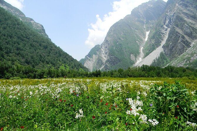Valley of Flowers - UNESCO World Heritage Site, Uttarakhand - Exploring the Valley of Flowers – An In-Depth Review of a 7-Day Uttarakhand Adventure