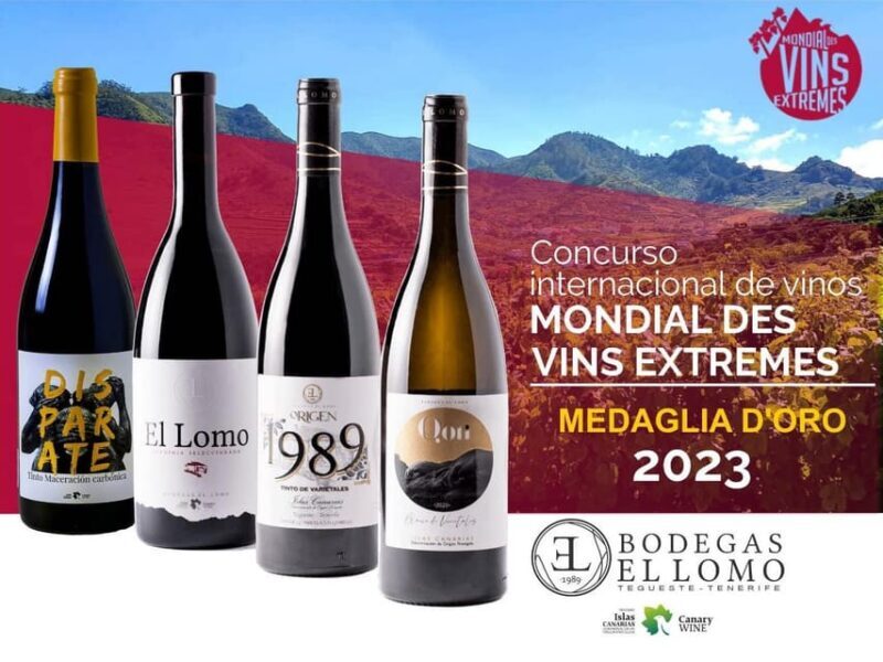 Valley of Tegueste: Wine Tour with Tasting at El Lomo Winery - The Tour Itself: What to Expect from Start to Finish