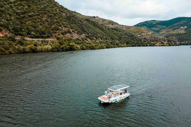 Valley of the Douro: Private Tour Electric Boat 1h With Wine Tasting - An In-Depth Look at the Tour