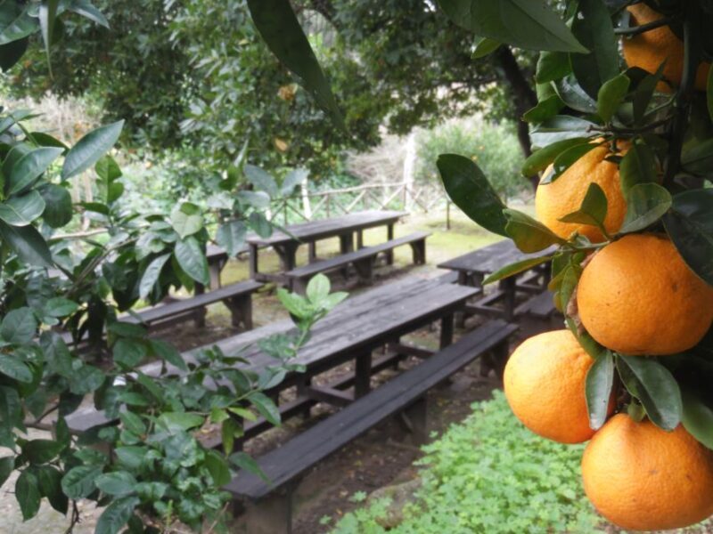 Valley of the Temples: Kolymbethra Garden Entry Ticket - Final Thoughts on the Valley of the Temples: Kolymbethra Garden