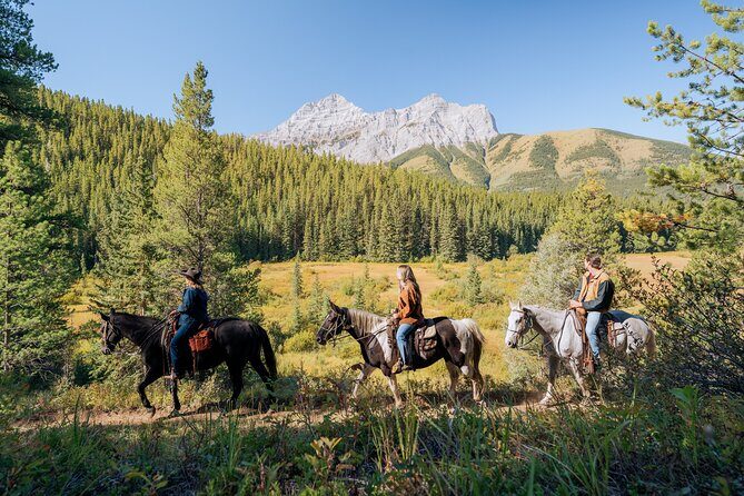 Valley Vista 1.5 Hour Horseback Trail Ride in Kananaskis - Key Points