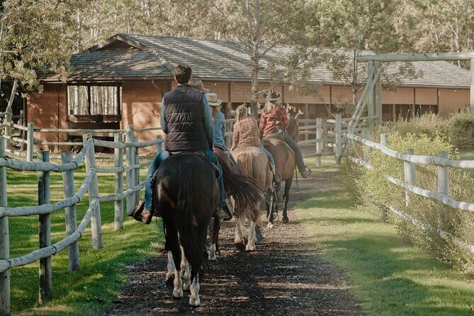 Valley Vista 1.5 Hour Horseback Trail Ride in Kananaskis - Who Will Love This Tour?