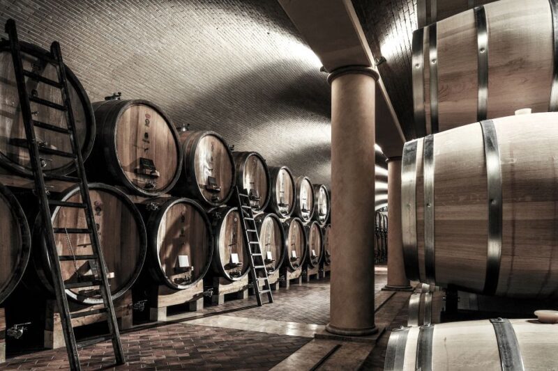 Valpolicella: 1.5-Hour Guided Winery Tour with Wine Tasting - Who Will Enjoy This Tour?